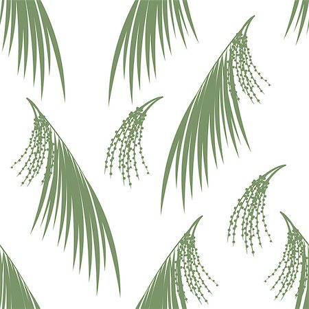 Seamless pattern berries and leaves of Acai palm . Floral background. Vector illustration Stock Photo - Budget Royalty-Free & Subscription, Code: 400-08413167