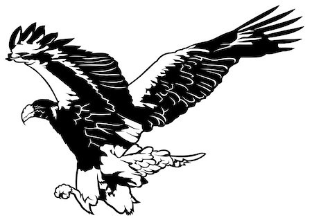 simsearch:400-08410446,k - Black and White Flying Eagle - Outline Illustration, Vector Stockbilder - Microstock & Abonnement, Bildnummer: 400-08413307