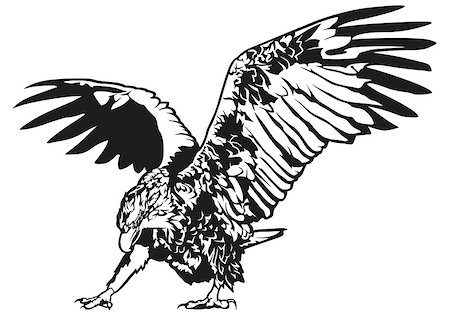 simsearch:400-08410446,k - Black and White Eagle - Outline Illustration, Vector Stockbilder - Microstock & Abonnement, Bildnummer: 400-08413308