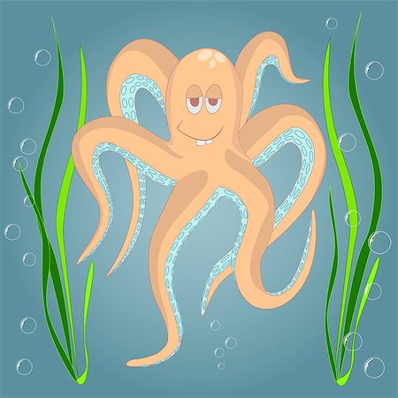 Very Funny octopus. Marine and underwater themes. Stock Photo - Budget Royalty-Free & Subscription, Code: 400-08413394