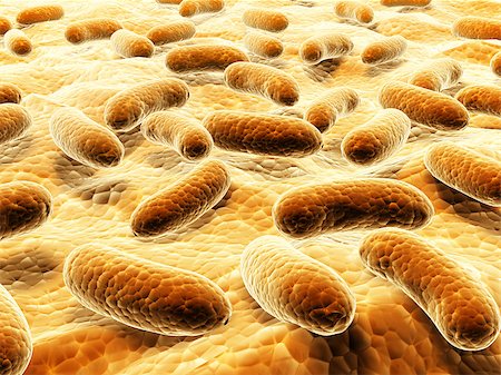 simsearch:400-04337180,k - Pathogen bacteria on the surface.  3d render Stock Photo - Budget Royalty-Free & Subscription, Code: 400-08413627