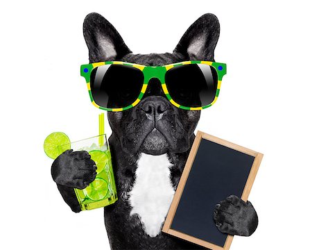 simsearch:400-07822392,k - brazil  caipirinha cocktail french bulldog dog enjoying summer vacation holidays, holding blank empty blackboard or placard, isolated on white background Foto de stock - Super Valor sin royalties y Suscripción, Código: 400-08413868