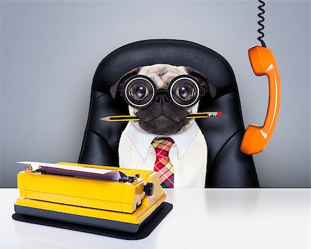 french bulldog office - office businessman pug dog  as  boss and chef , with typewriter as a secretary,  sitting on leather chair and desk, in need for vacation Stock Photo - Budget Royalty-Free & Subscription, Code: 400-08413863