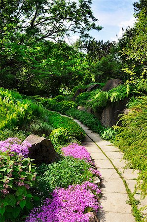 Rock aria of botanical garden with exotic flowers Stockbilder - Microstock & Abonnement, Bildnummer: 400-08427786
