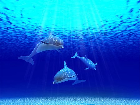 Three dolphins swimming in the ocean Stock Photo - Budget Royalty-Free & Subscription, Code: 400-08427840