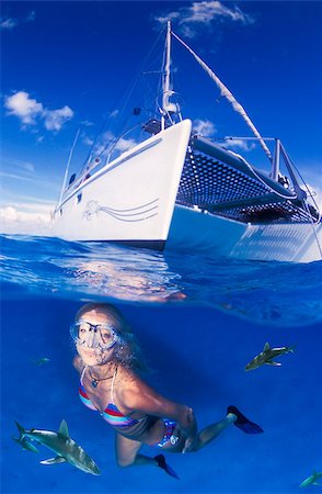 A adventurous fitness model swimming in very blue, very clear water with several sharks. The white dive boat is clearly in view behind. Stock Photo - Budget Royalty-Free & Subscription, Code: 400-08428575