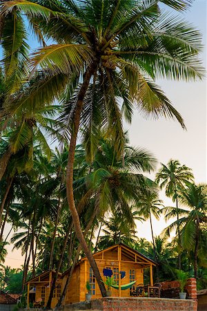 wooden bungalow among tropical coconut palms Stock Photo - Budget Royalty-Free & Subscription, Code: 400-08429282