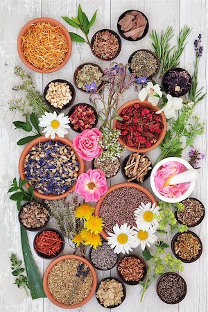 simsearch:400-07303169,k - Naturopathic flower and herb selection used in alternative herbal medicine on over distressed wooden background. Stock Photo - Budget Royalty-Free & Subscription, Code: 400-08429312