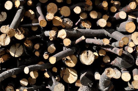 Stack of firewood from an apple tree in the backyard Stockbilder - Microstock & Abonnement, Bildnummer: 400-08429472
