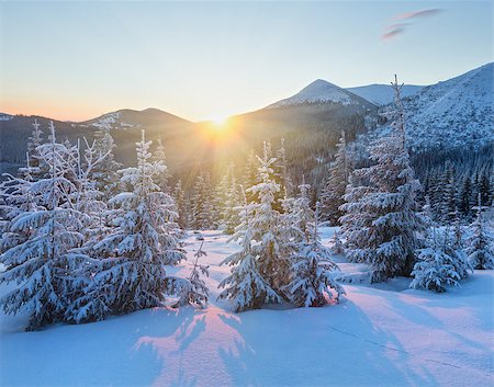simsearch:400-07101023,k - The first rays of the sun and winter mountain landscape with snowy fir trees on slope Photographie de stock - Aubaine LD & Abonnement, Code: 400-08429763