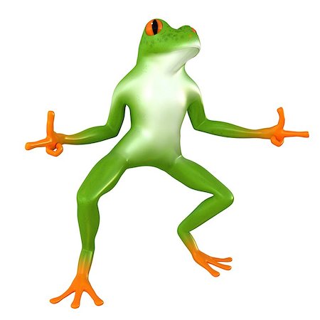 simsearch:400-06461608,k - Tropical frog posing, isolated on white background Foto de stock - Super Valor sin royalties y Suscripción, Código: 400-08429951