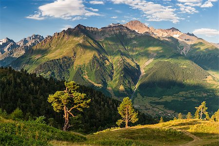 simsearch:400-04412215,k - Beautiful morning landscape with sunlit trees, with high mountains and blue sky Photographie de stock - Aubaine LD & Abonnement, Code: 400-08429993