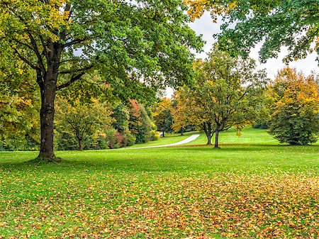 Trees and meadow at lake Woerthsee in Bavaria, Germany in autumn Stock Photo - Budget Royalty-Free & Subscription, Code: 400-08430260