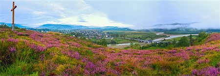 simsearch:400-05243959,k - Summer misty morning country foothills panorama with heather flowers and wooden cross (Lviv Oblast, Ukraine) . Foto de stock - Royalty-Free Super Valor e Assinatura, Número: 400-08430467