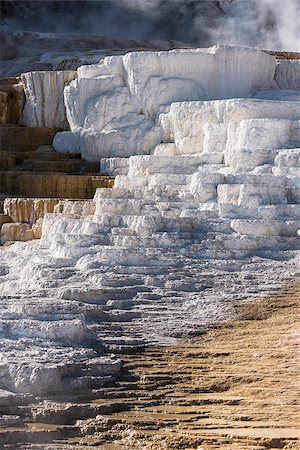 simsearch:400-05015574,k - Mammoth terraces at Yellowstone National Park Stock Photo - Budget Royalty-Free & Subscription, Code: 400-08430917