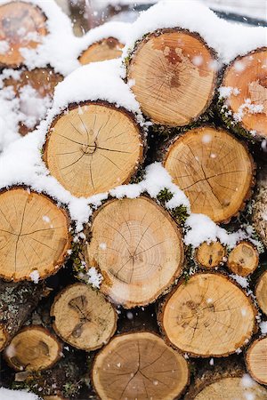 simsearch:400-04882349,k - Firewood stacked in a pile sunlit at winter Foto de stock - Super Valor sin royalties y Suscripción, Código: 400-08430938