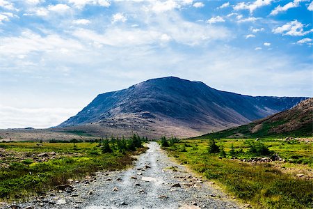 Rocky gravel path through small trees and shrubs, leading towards dry rocky mountain, against partly cloudy sky, at Tablelands, Gros Morne National Park, Newfoundland, Canada. Fotografie stock - Microstock e Abbonamento, Codice: 400-08430974