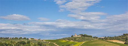 Panorama of a typical Tuscan landscape in Italy Foto de stock - Super Valor sin royalties y Suscripción, Código: 400-08431271