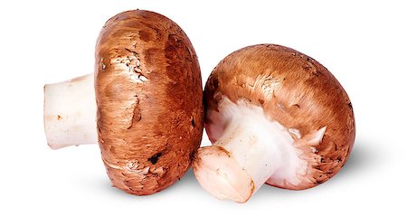 simsearch:400-08011809,k - Two fresh brown mushroom beside rotated isolated on white background Photographie de stock - Aubaine LD & Abonnement, Code: 400-08431556