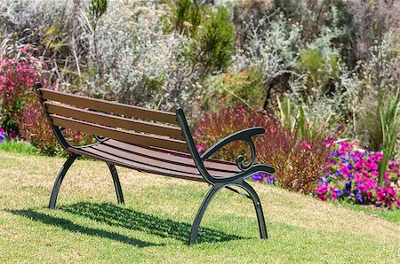 fynbos - Rustic bench between flowers near Sir Lowrys Pass Stock Photo - Budget Royalty-Free & Subscription, Code: 400-08431947