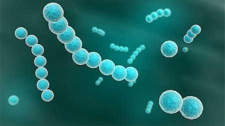 streptococcus - 3d rendered close up of streptococcus Stock Photo - Budget Royalty-Free & Subscription, Code: 400-08432812