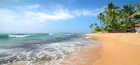 simsearch:400-06064328,k - Foamy waves on a beach of Indian ocean Stockbilder - Microstock & Abonnement, Bildnummer: 400-08433089