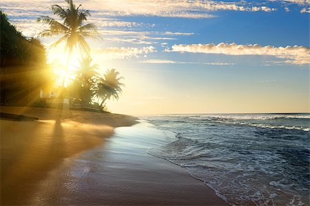 simsearch:400-06064328,k - Bright sun at sunset over Indian ocean Stockbilder - Microstock & Abonnement, Bildnummer: 400-08433384