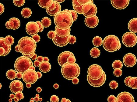 simsearch:400-04337180,k - Colony of pathogen viruses. Isolated on black background Stock Photo - Budget Royalty-Free & Subscription, Code: 400-08433690