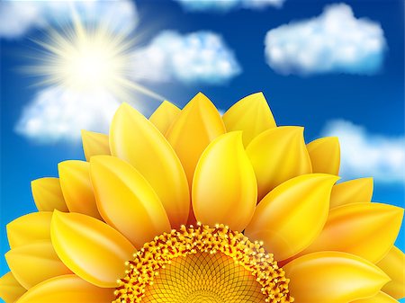 simsearch:400-07036242,k - Beautiful sunflower against blue sky with clouds. EPS 10 vector file included Photographie de stock - Aubaine LD & Abonnement, Code: 400-08494385