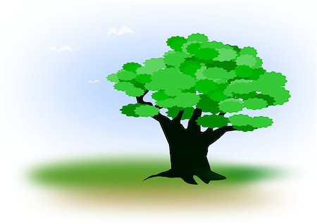 simsearch:400-06087517,k - A green tree standing alone on a meadow. Stock Photo - Budget Royalty-Free & Subscription, Code: 400-08494979