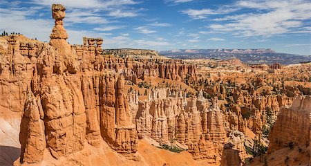 Hoodoos in the Amphitheater in Bryce Canyon National Park, Utah, USA Stock Photo - Budget Royalty-Free & Subscription, Code: 400-08495981