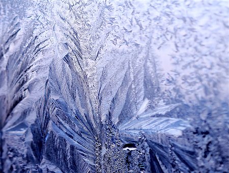 simsearch:400-04628388,k - Icy frosty ornate pattern of thin ice on the window. Stockbilder - Microstock & Abonnement, Bildnummer: 400-08496584