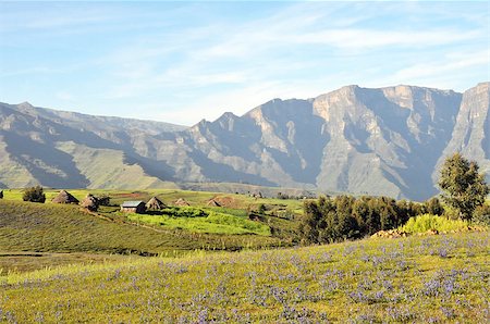 View of landscape below Simien mointains park, Ethiopia. Foto de stock - Royalty-Free Super Valor e Assinatura, Número: 400-08496729