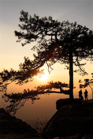 Silhouetted branch of pine tree with travelers on the rock cliff beside during the sunset time at Lomsak cliff at Phukradueng national park in Loei province of Thailand. Stock Photo - Budget Royalty-Free & Subscription, Code: 400-08496749