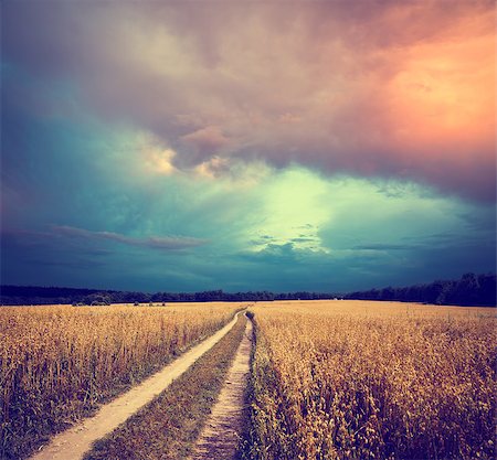 Summer Landscape with Oat Field and Country Road on the Background of Dramatic Sky. Toned and Filtered Photo with Copy Space. Stock Photo - Budget Royalty-Free & Subscription, Code: 400-08497111