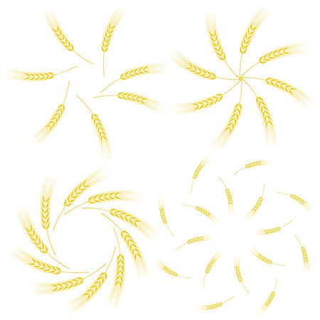 Yellow Ears of Wheat Icon Set Isolated on White Background Stock Photo - Budget Royalty-Free & Subscription, Code: 400-08497543