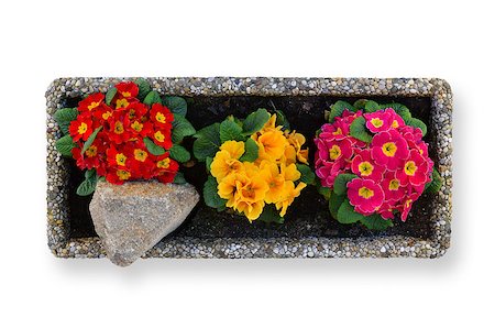 studio023 (artist) - Top view of a pot full of spring flowers on a white background in a stone pot Stockbilder - Microstock & Abonnement, Bildnummer: 400-08497943