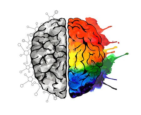 right - Creative concept of the human brain. Right and left side Photographie de stock - Aubaine LD & Abonnement, Code: 400-08497989