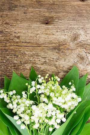 simsearch:689-03124006,k - Lilly of valley flowers on wooden table with copy space Photographie de stock - Aubaine LD & Abonnement, Code: 400-08498224