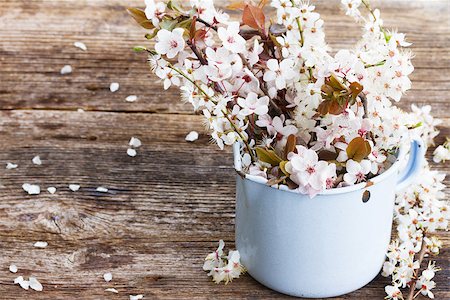 fresh cherry twigs with leaves  and  flowers in blue pot on wooden table Stock Photo - Budget Royalty-Free & Subscription, Code: 400-08498236