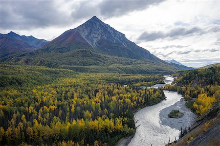 fall aspen leaves - Alaska Interior River in Autumn Stock Photo - Budget Royalty-Free & Subscription, Code: 400-08498280
