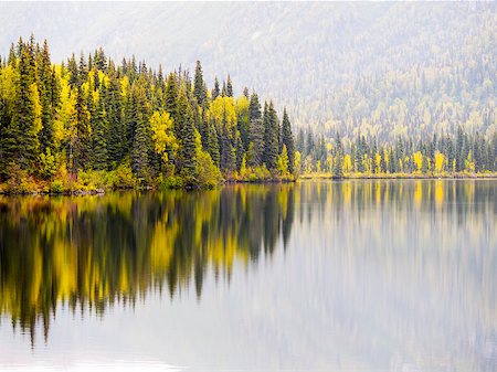 fall aspen leaves - Alaska Interior Lake in Autumn Stock Photo - Budget Royalty-Free & Subscription, Code: 400-08498281