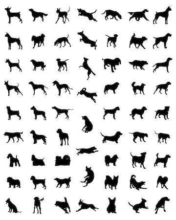 simsearch:400-09091868,k - Black silhouettes of different races of dogs, vector Fotografie stock - Microstock e Abbonamento, Codice: 400-08498385