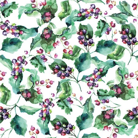 fruit artworks pattern - seamless pattern with leaves and berries of hawthorn Stock Photo - Budget Royalty-Free & Subscription, Code: 400-08492806