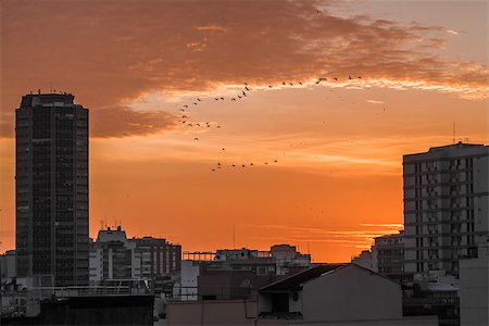 Sunrise in Leblon, Rio de Janeiro, Brazil Fotografie stock - Microstock e Abbonamento, Codice: 400-08493804