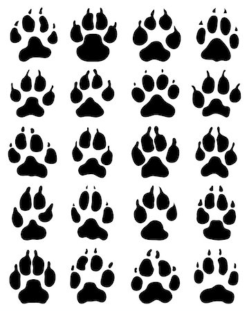 simsearch:400-08107152,k - Black print of dogs paws on white background, vector Foto de stock - Royalty-Free Super Valor e Assinatura, Número: 400-08504180