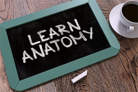 Learn Anatomy Handwritten by white Chalk on a Blackboard. Composition with Small Blue Chalkboard and Cup of Coffee. Top View. 3D Render. Stock Photo - Budget Royalty-Free & Subscription, Code: 400-08505639