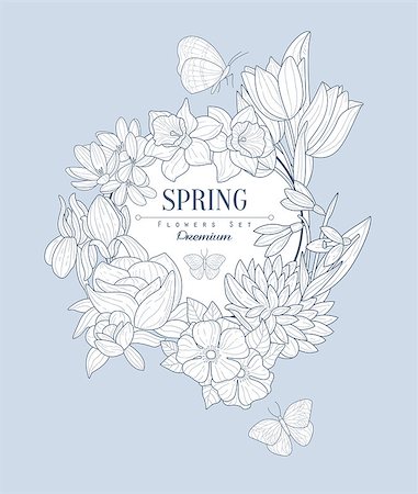 peony art - Spring Flowers Vintage Vector Hand Drawn Design Card Stock Photo - Budget Royalty-Free & Subscription, Code: 400-08506111