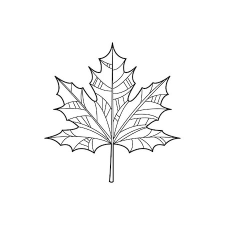 Maple Leaf Hand Drawn Vector Design Zentangle Print For Coloring Book Stock Photo - Budget Royalty-Free & Subscription, Code: 400-08506471