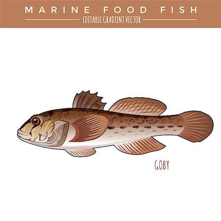 Goby illustration. Marine food fish, editable gradient vector Stock Photo - Budget Royalty-Free & Subscription, Code: 400-08506643